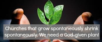 spontaneous church growth
